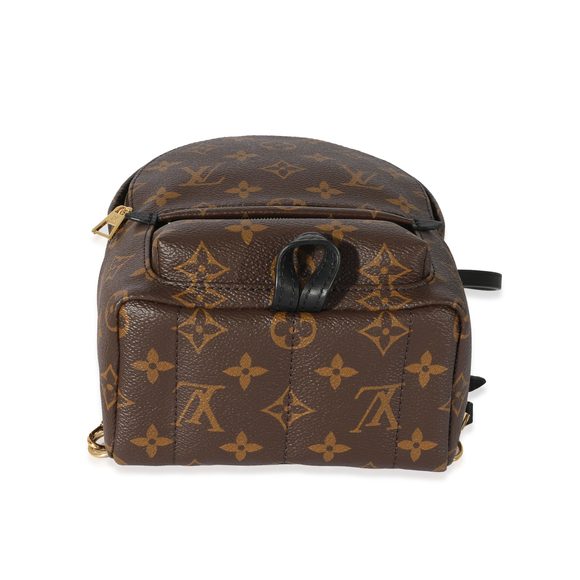 Louis Vuitton Monogram Canvas Mini Palm Springs - Picture 5 of 7